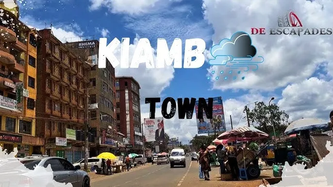 Appliance Repair Services in Kiambu