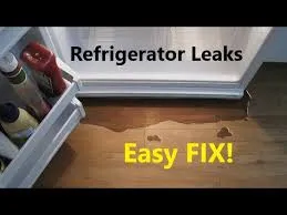 Fridge leaking water repair in Nairobi